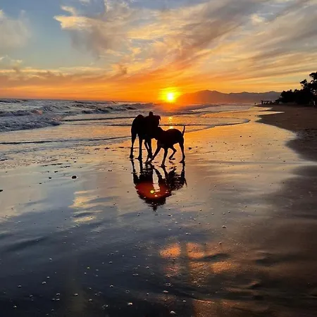 Apartment La Calita Mijas